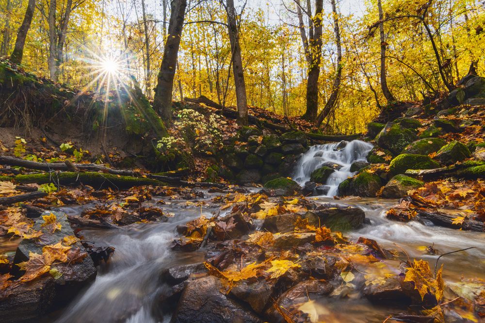 Фотография автора Майя Афзаал