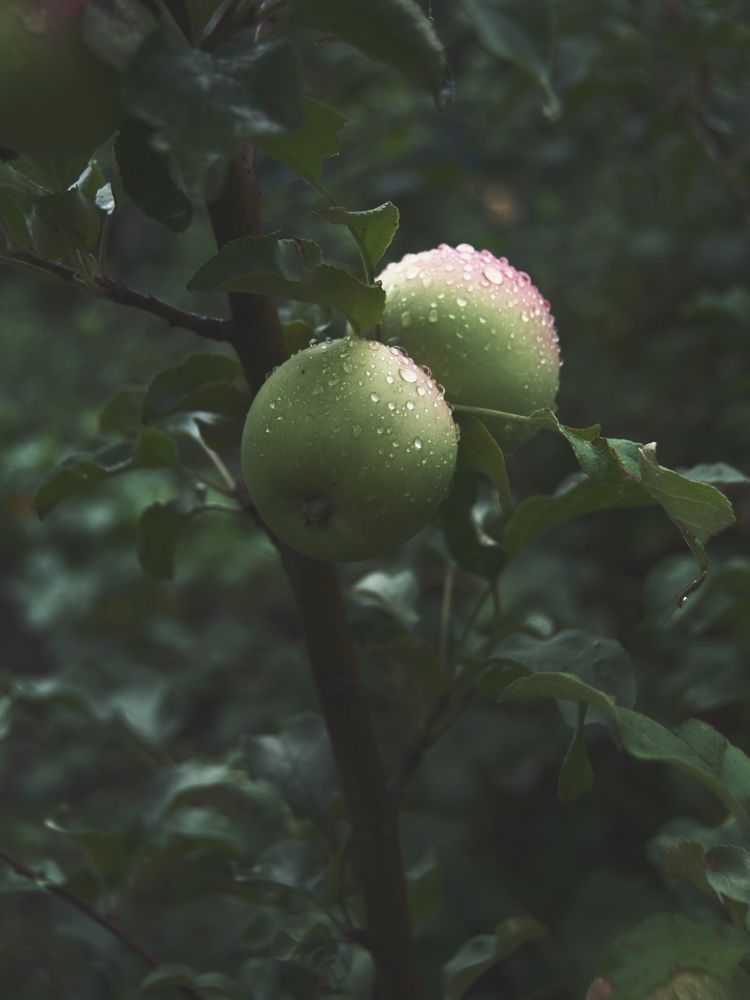 Photograph by Мария Дубова