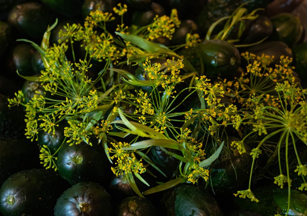 Фотография автора Оксана Белозерская