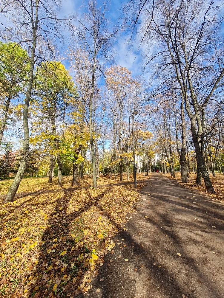 Photograph by Tatiana Denisova