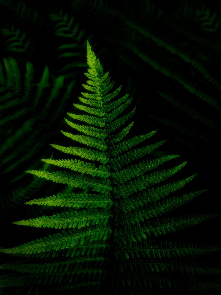 Photograph by Светлана Перминова