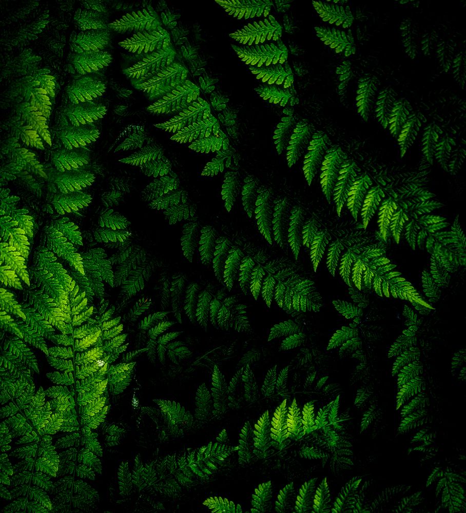 Photograph by Светлана Перминова