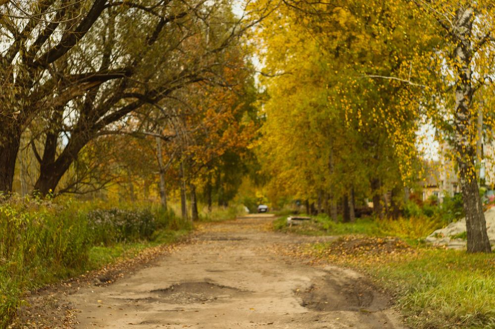 Photograph by Елена Квасова