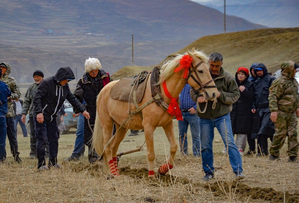 Photograph by Инна Гаджиева