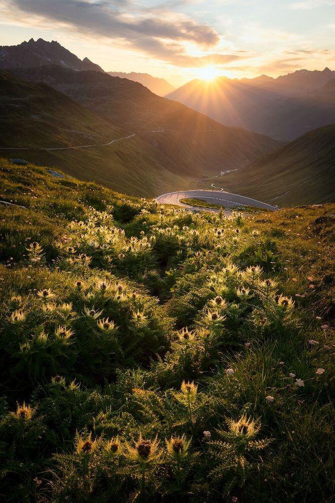 Photograph by Dominik Murko