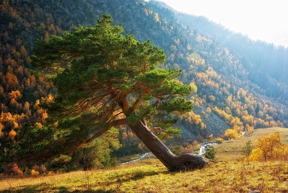 Фотография автора Сергей Павлов