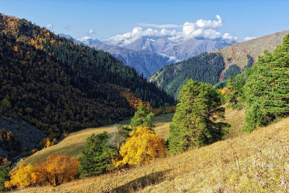 Фотография автора Сергей Павлов