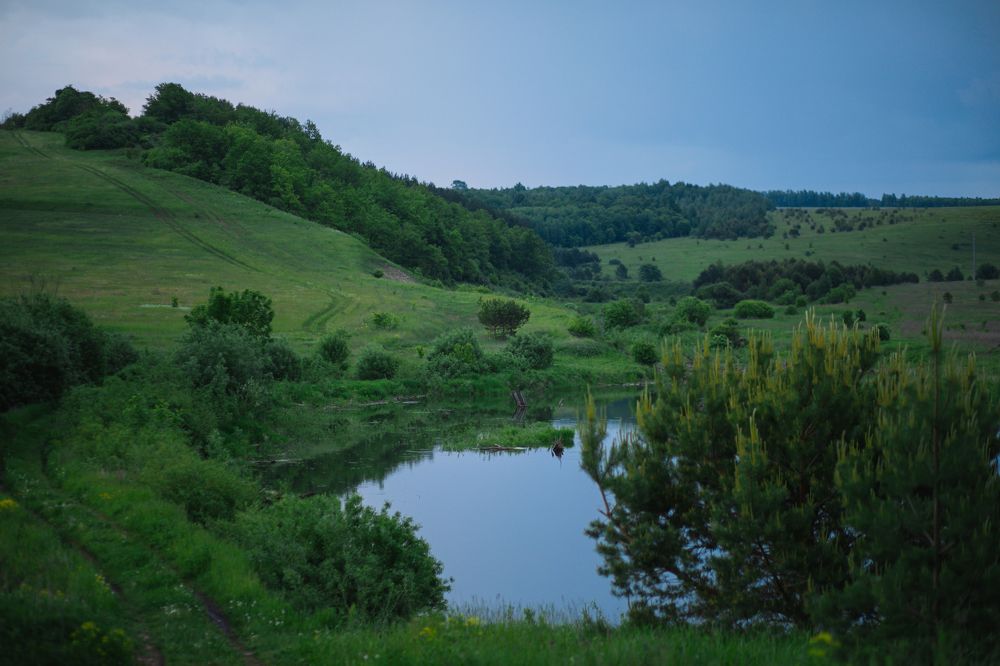 Photograph by Наталья Гранфельд