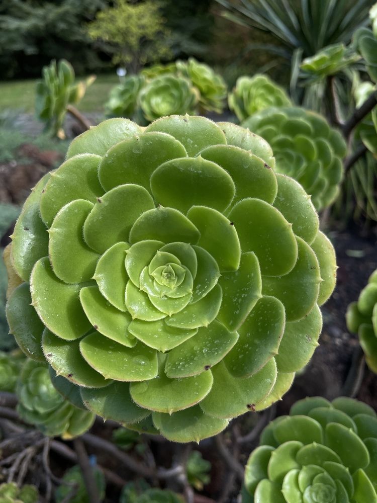 Фотография автора Ramin Ismayilov