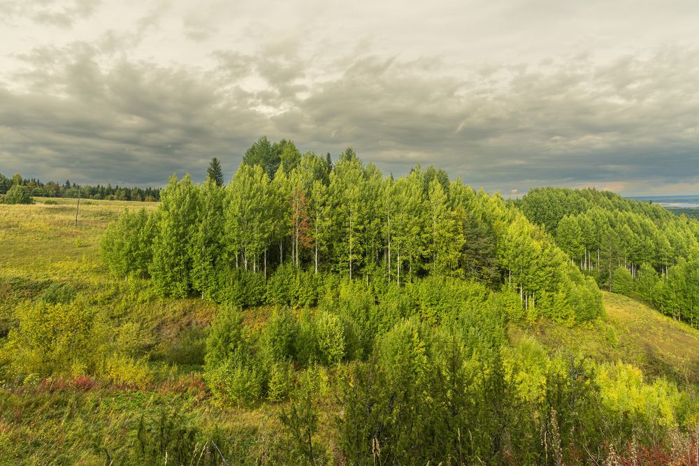 Photograph by Дмитрий Львович