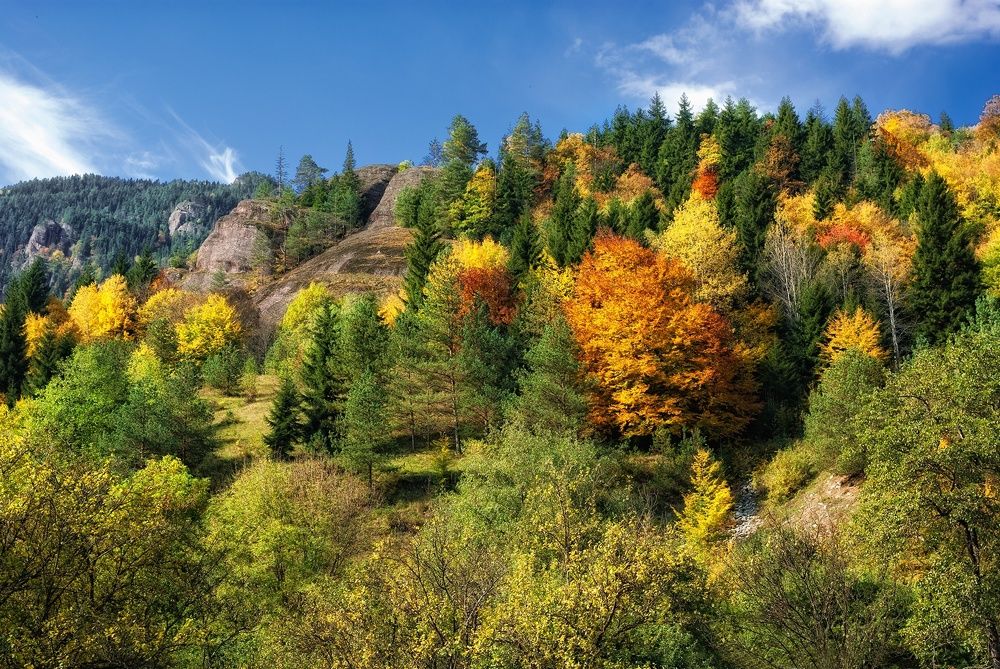 Фотография автора Сергей Павлов