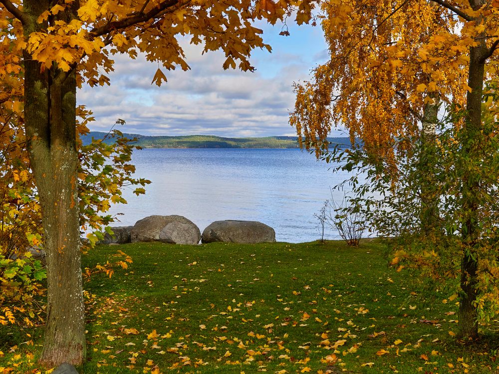 Photograph by Алексей Долженко