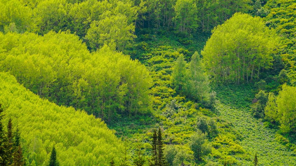 Photograph by Кожиков Данияр