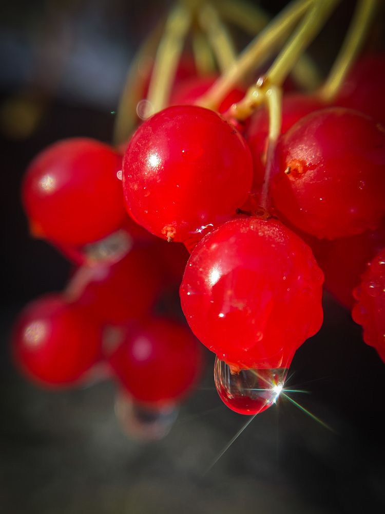 Фотография автора Рамзия Хисамутдинова