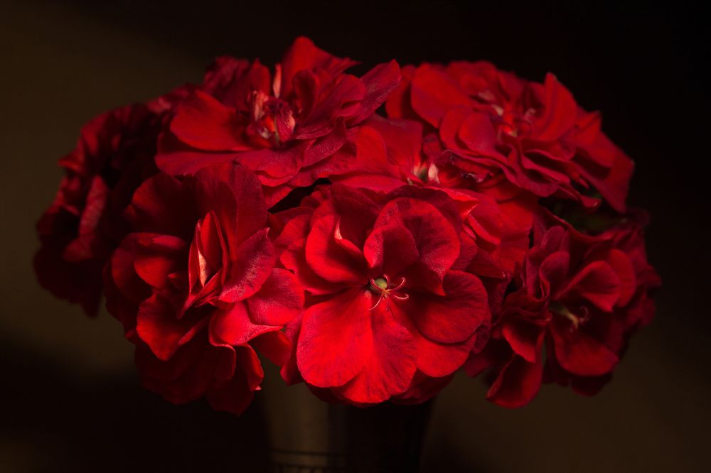 Photograph by Евгения Кинжакова