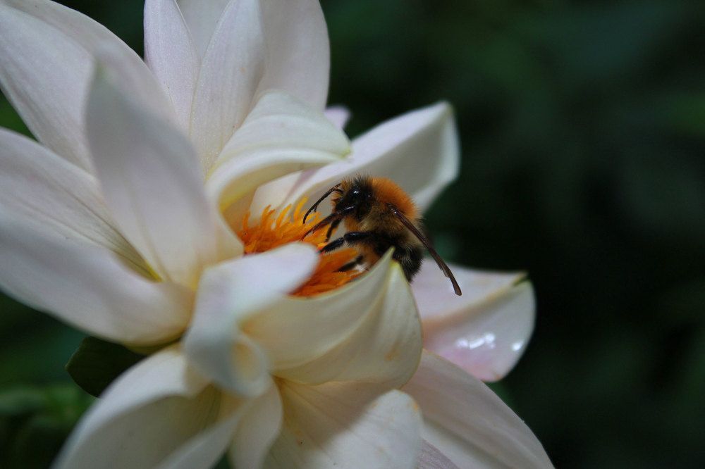 Фотография автора Алёна Сухарева