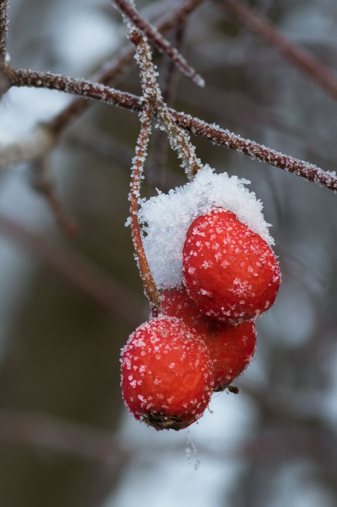 Photograph by Андрей Иванов