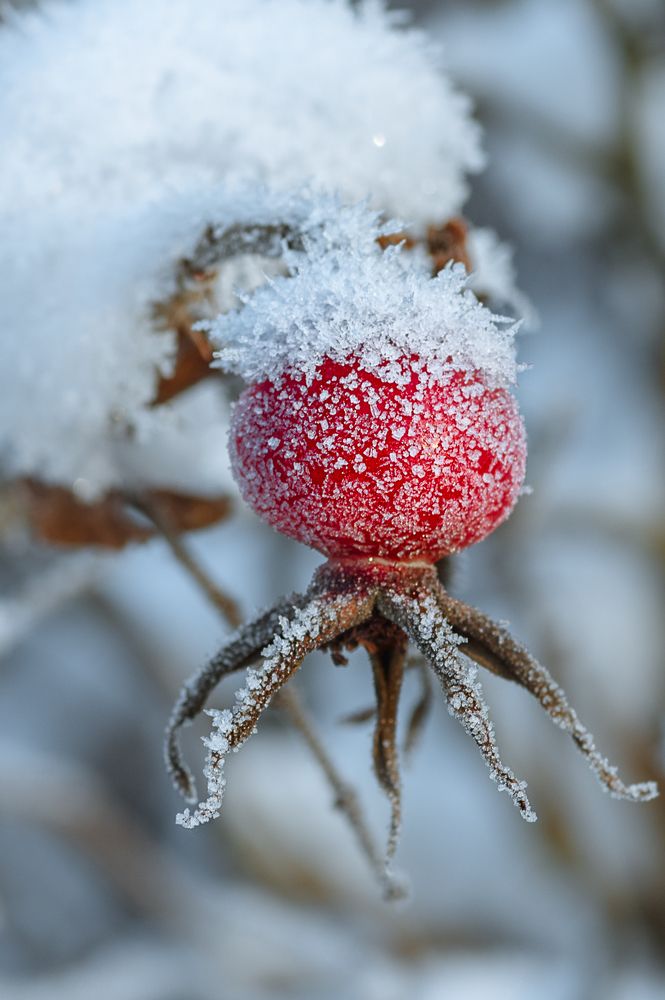 Photograph by Андрей Иванов