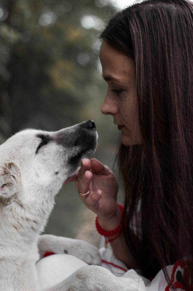 Photograph by Ольга Злыденная