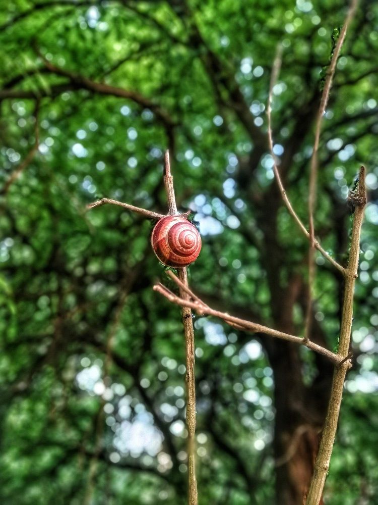 Photograph by Валентина