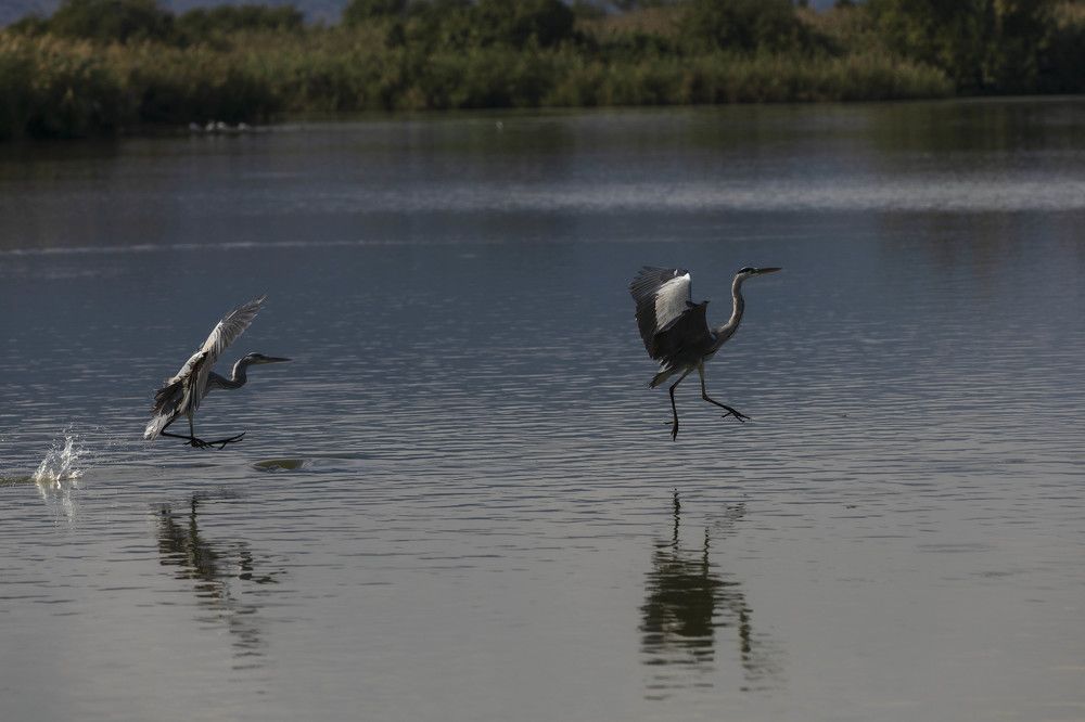 Photograph by klara Neikov