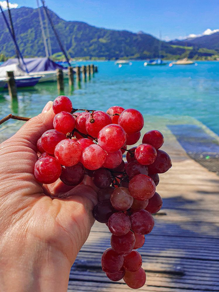 Photograph by Volkova Nataliia