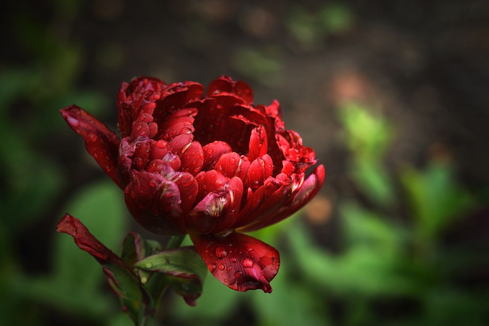 Photograph by Евгения Кинжакова