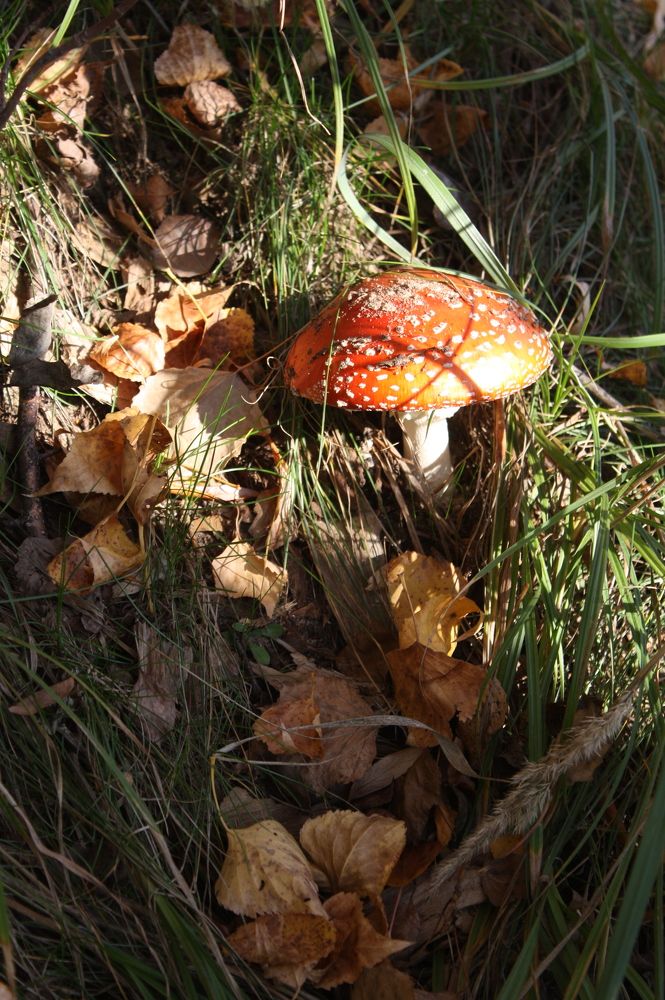 Photograph by ДанКо Натали