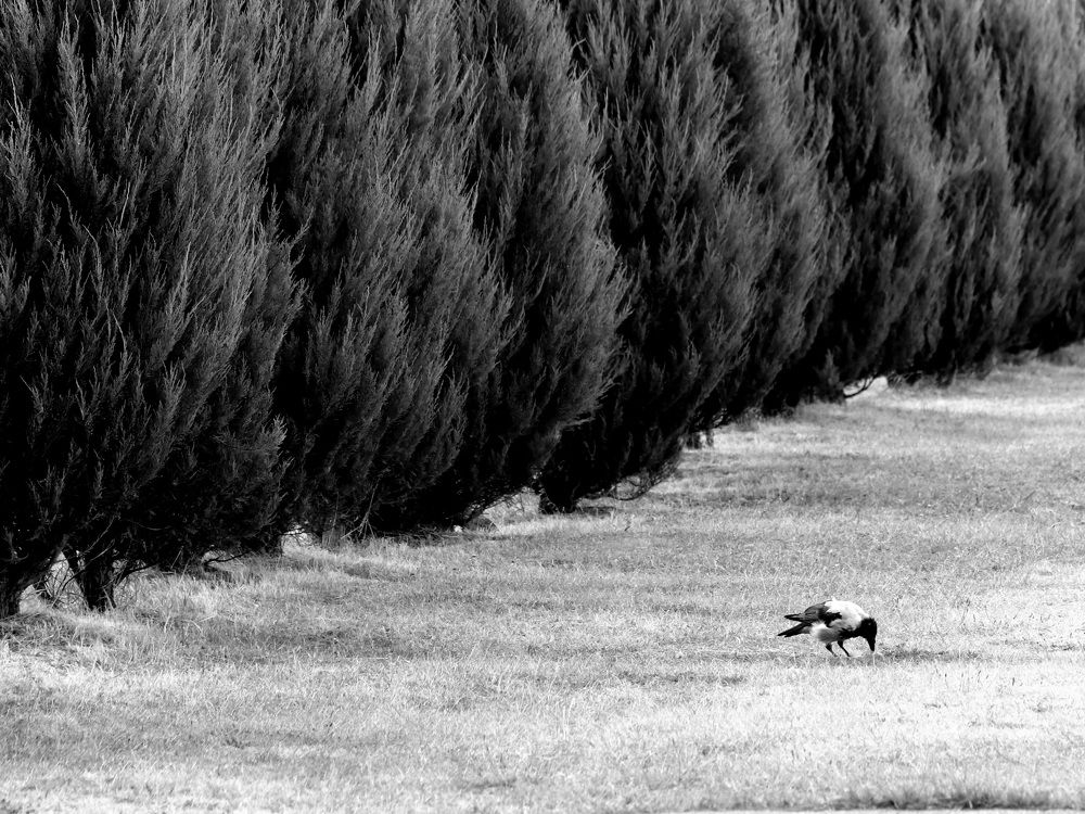 Photograph by Андрей Хитрун