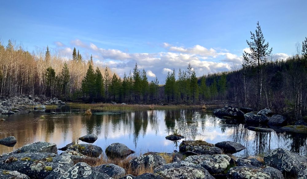 Фотография автора Юлия Шумейко