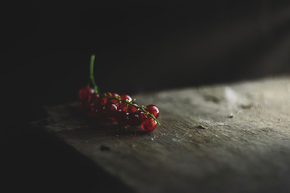 Photograph by Евгения Кинжакова