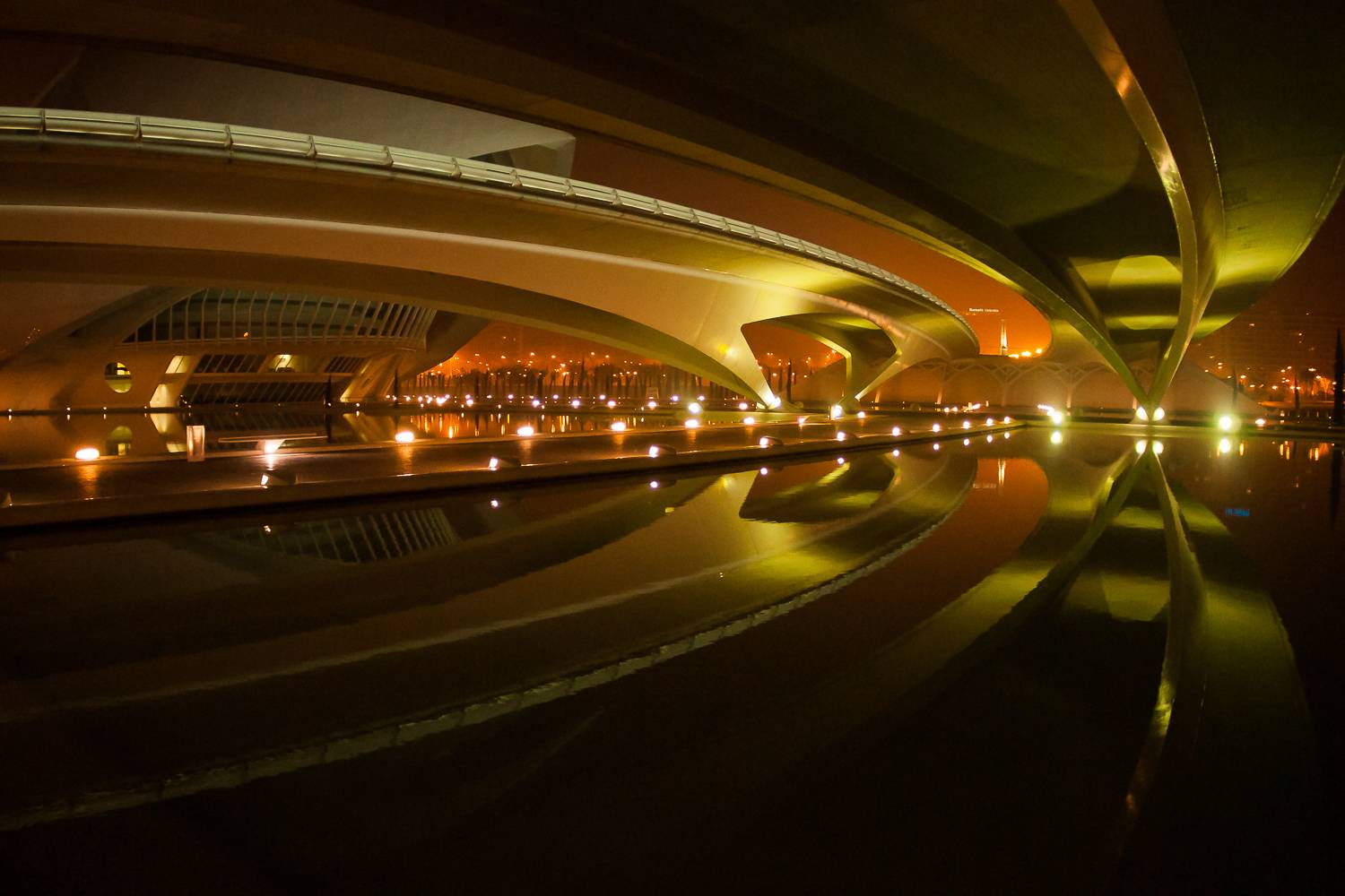 Photo #8194375
