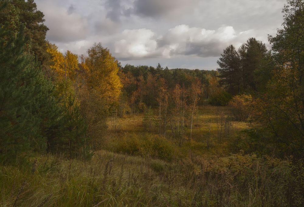 Photograph by Cергей Черныш