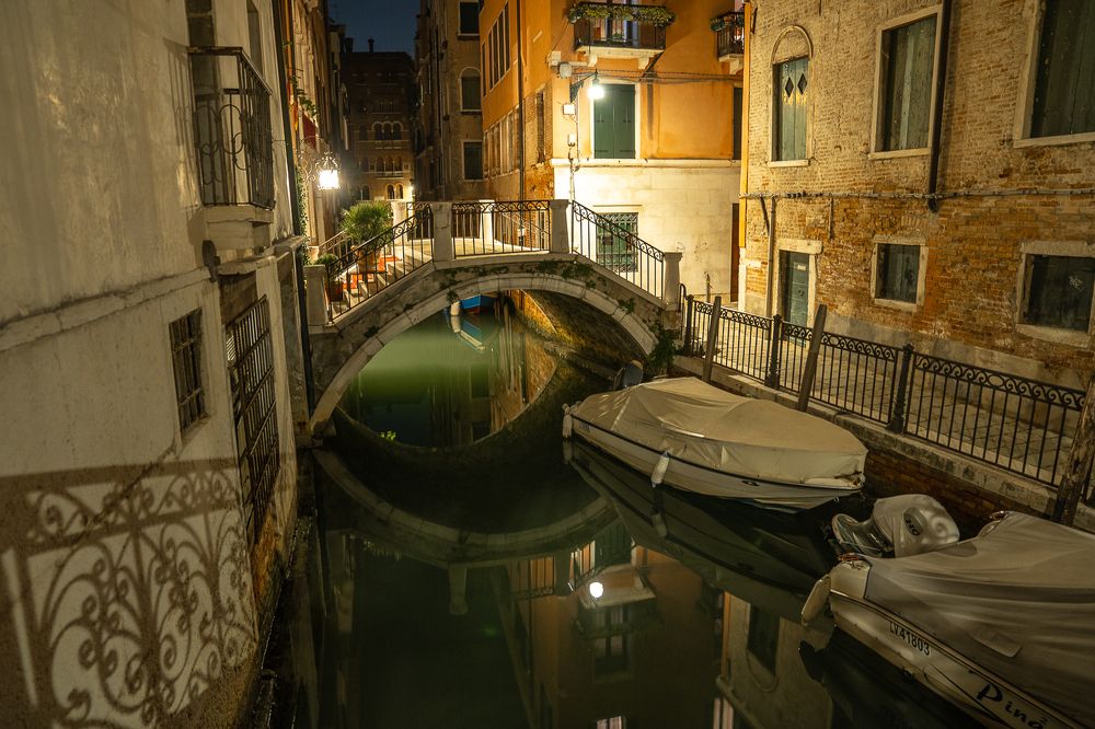 Photograph by Максимова Дария