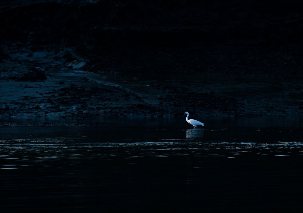 Photograph by Amrit Raj Sarkar