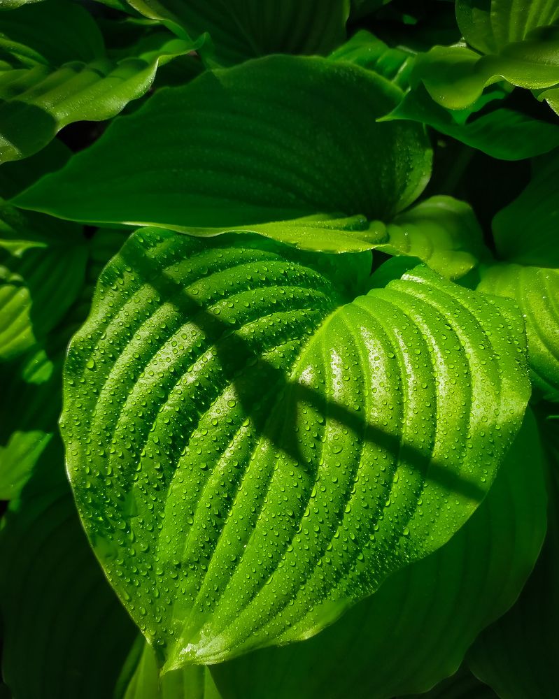 Photograph by Александр Панин