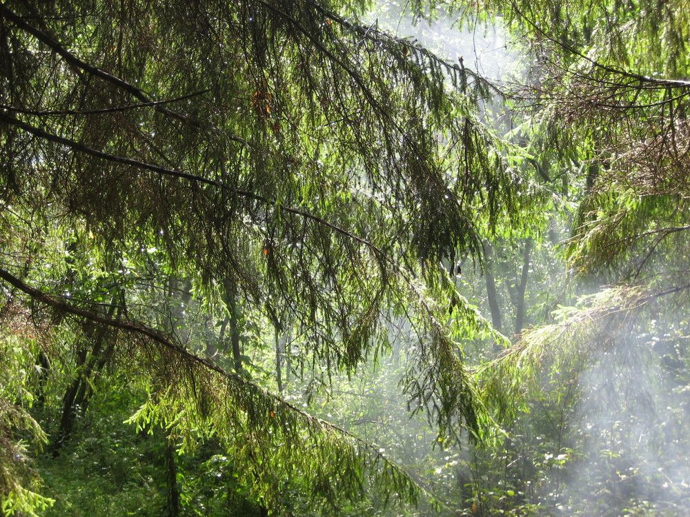 Photograph by ДанКо Натали