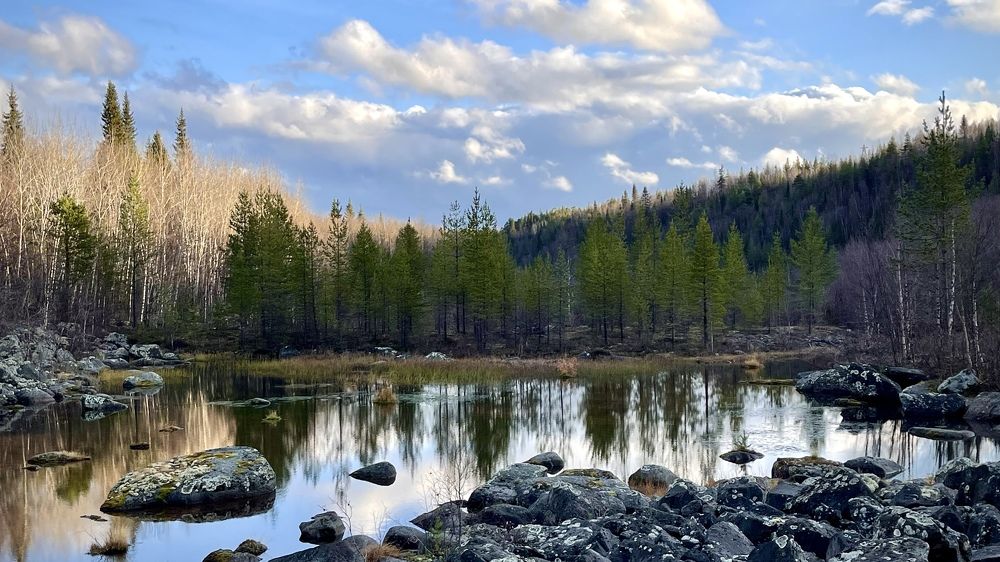 Фотография автора Юлия Шумейко