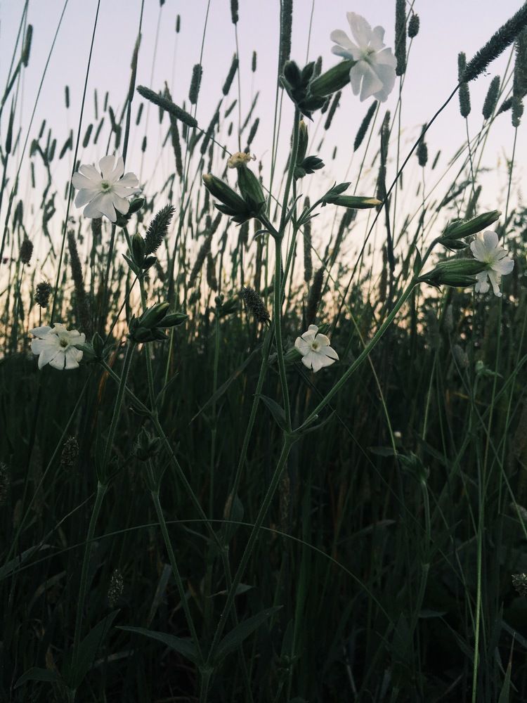 Photograph by Olivka Ulyanova