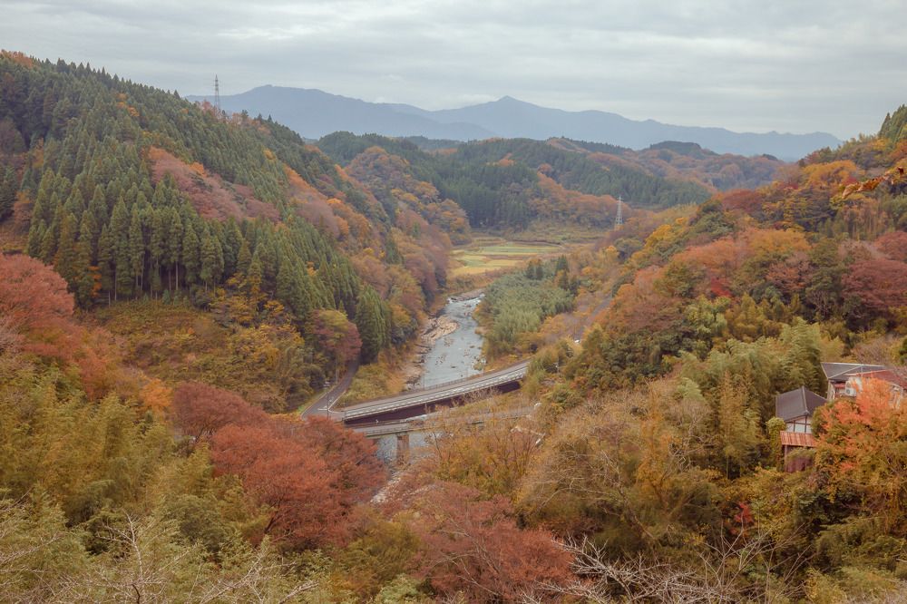 Photograph by Nguyen