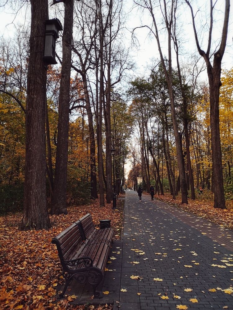 Photograph by Natali