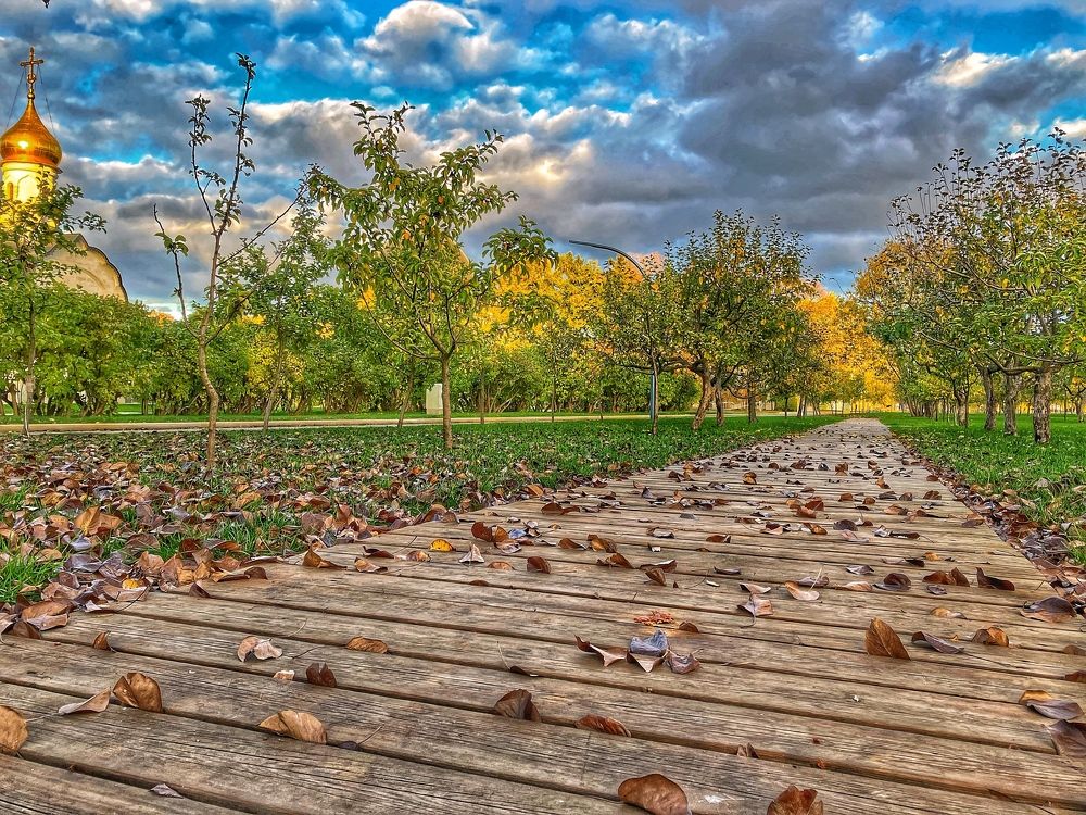 Photograph by Alexander Shcherbakov