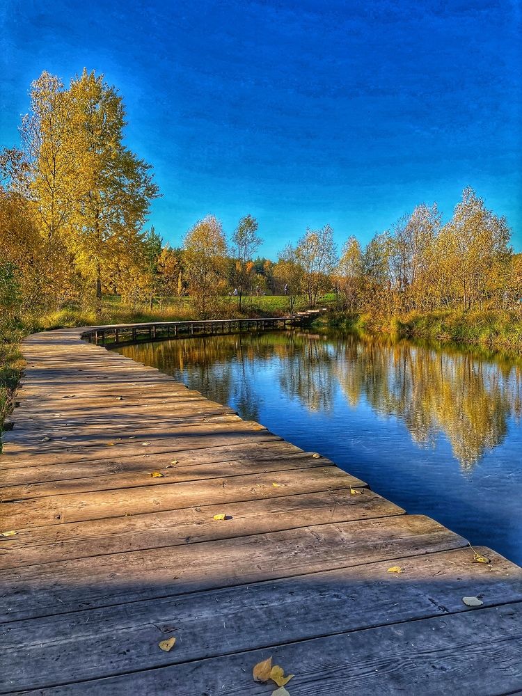 Photograph by Alexander Shcherbakov