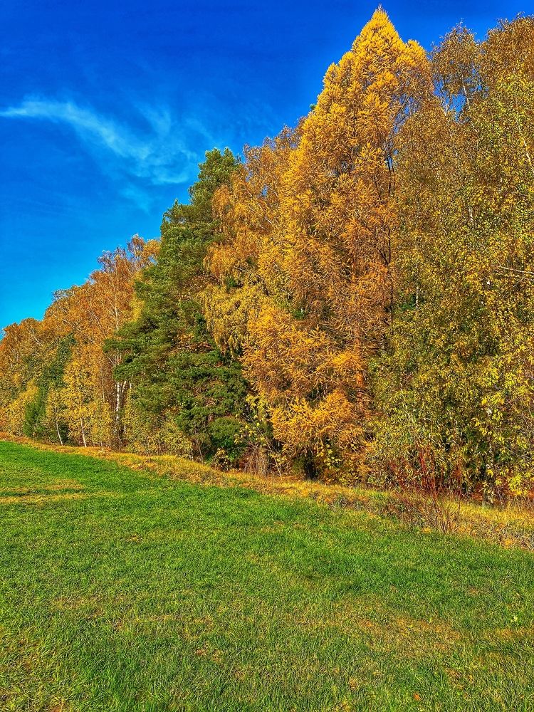 Photograph by Alexander Shcherbakov