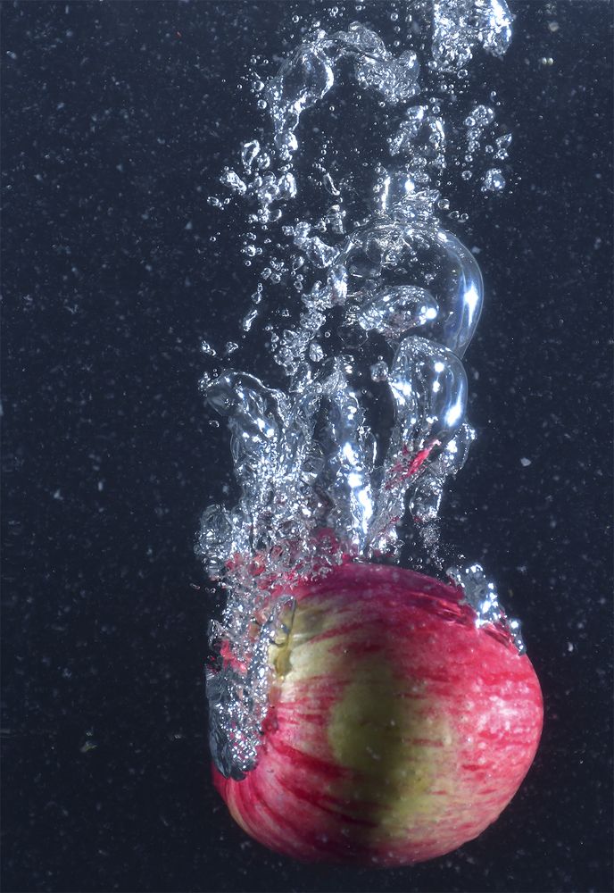 Photograph by Diwyanjali Fernando