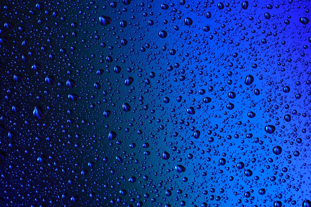 Фотография автора Ольга ЯR