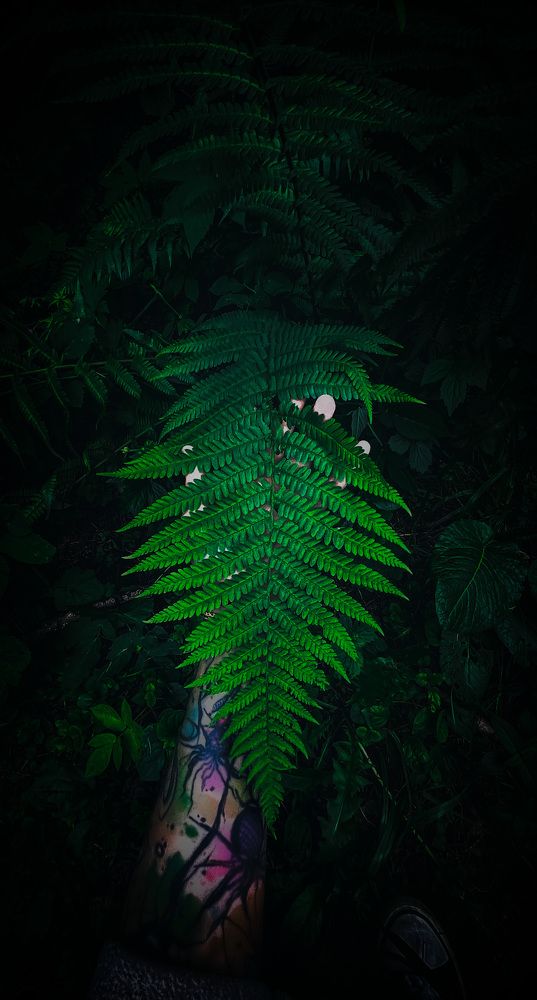 Photograph by Дарья Григорьева