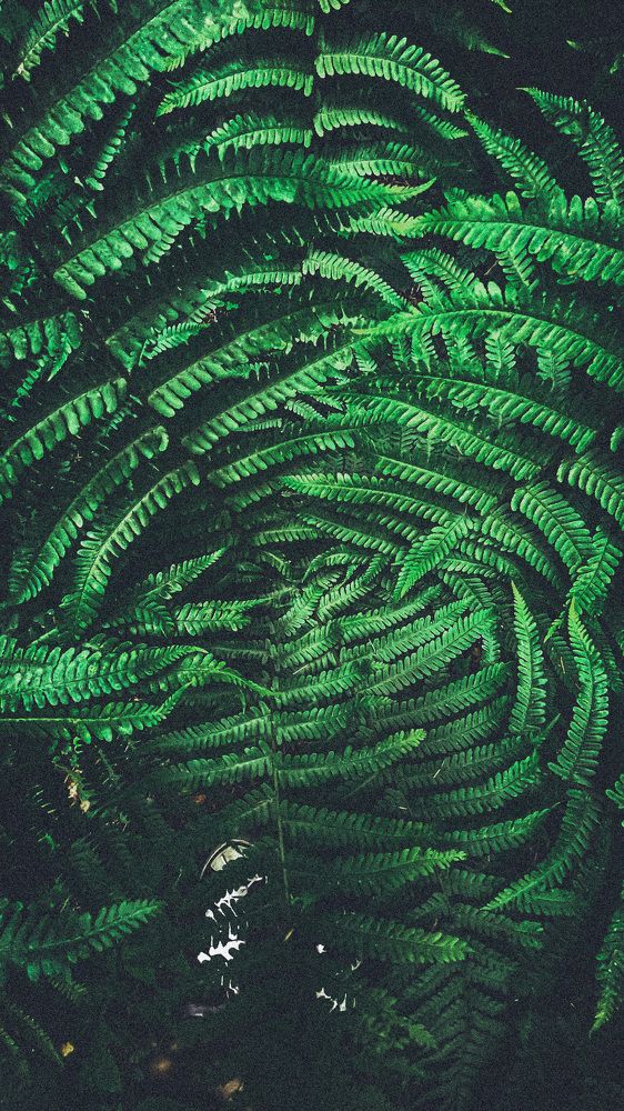 Photograph by Дарья Григорьева