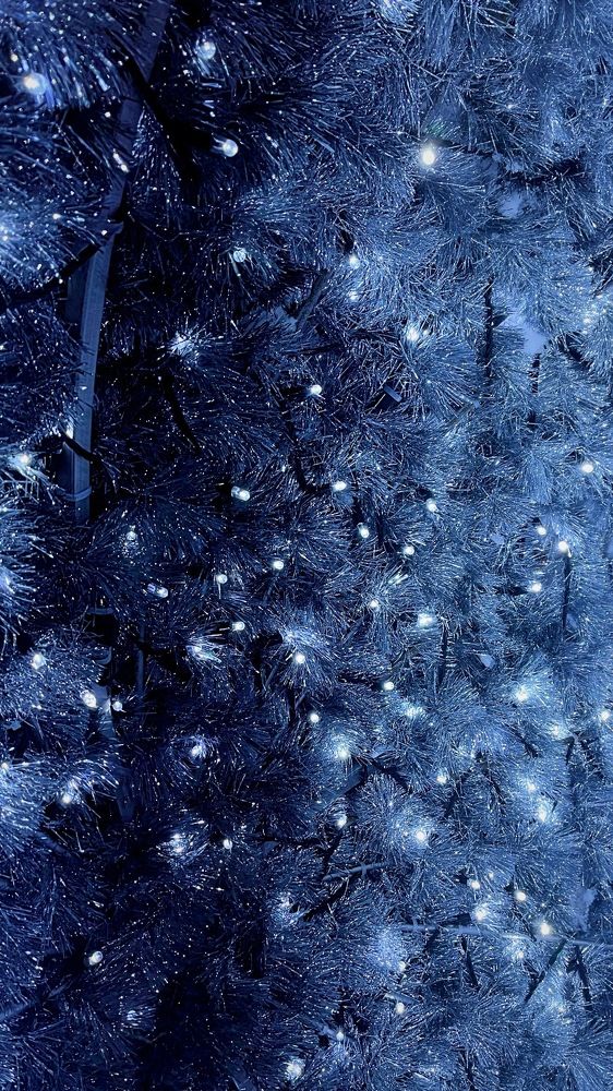 Photograph by Дарья Григорьева