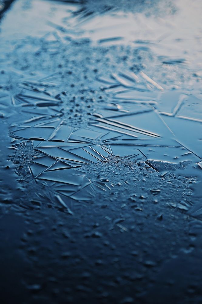 Photograph by Дарья Григорьева